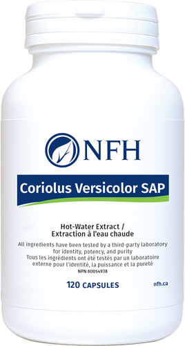 NFH Coriolus Versicolor 120
