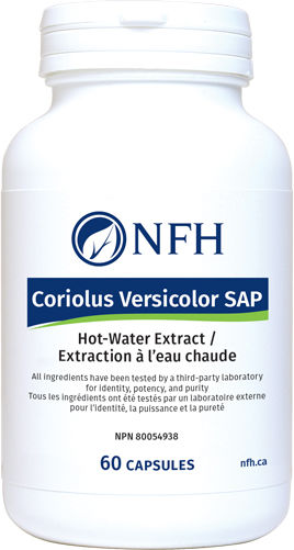NFH Coriolus Versicolor 60